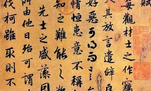 复方岩白菜素片不良反应-复方岩白菜素片禁忌网复方岩白菜素片吃多久见效知识网站,分享复方岩白菜素片吃多久见效大全