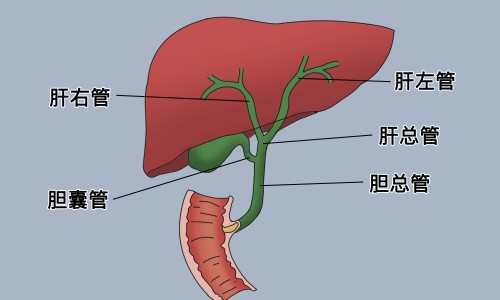 复方岩白菜素片哪些人不能吃-复方岩白菜素片禁忌网复方岩白菜素片吃多久见效知识网站,分享复方岩白菜素片吃多久见效大全